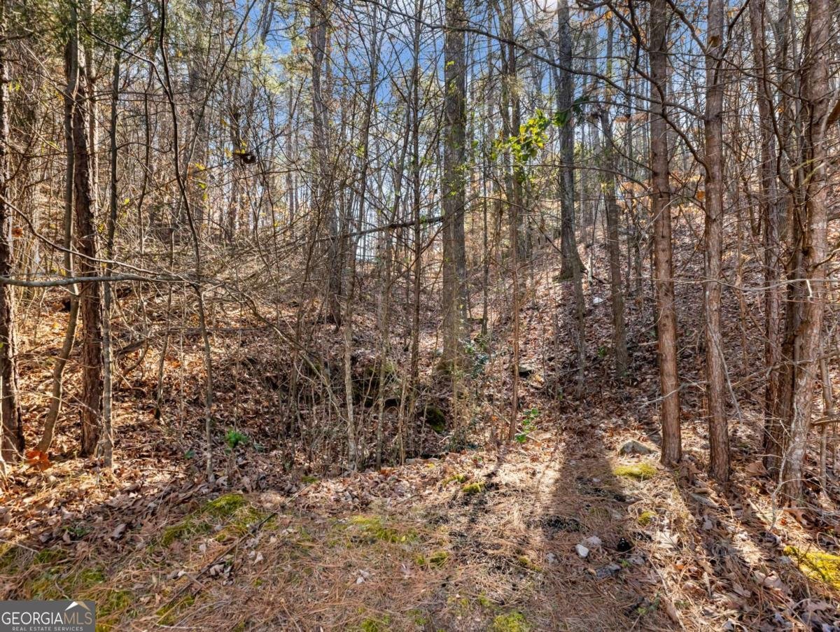 6377 Barker Station Walk Sugar Hill - Photo 44