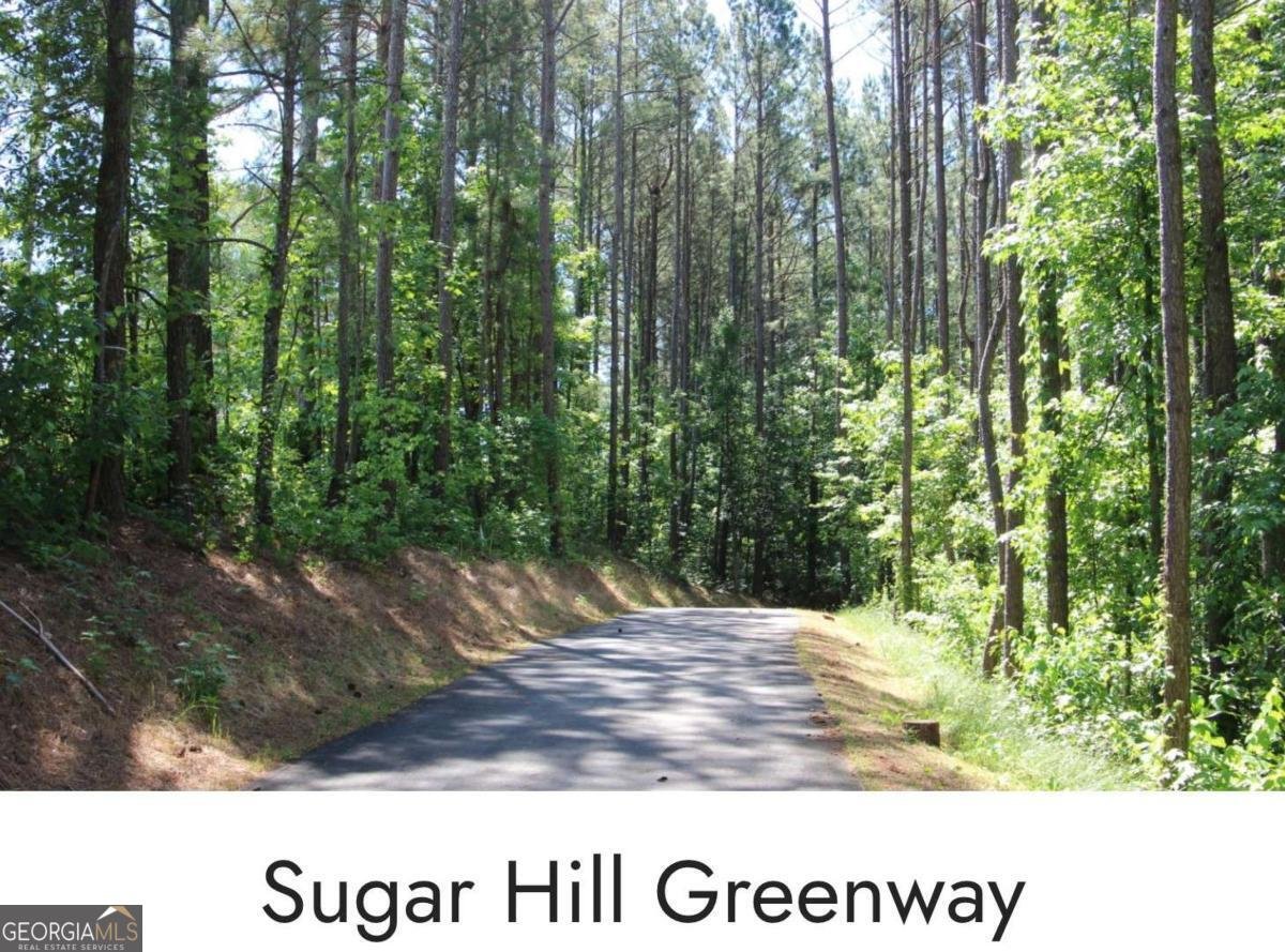 6377 Barker Station Walk Sugar Hill - Photo 53