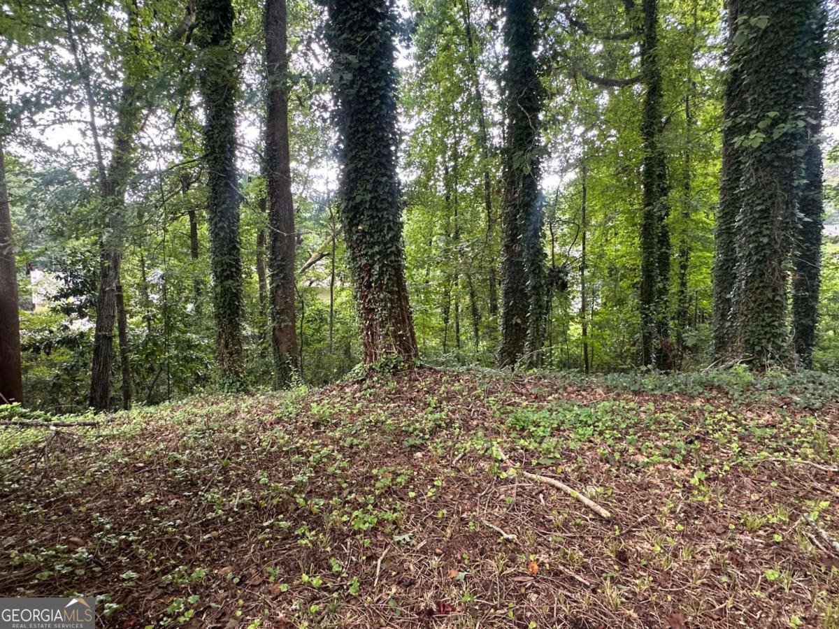 4911 Martins Crossing Road Stone Mountain - Photo 10