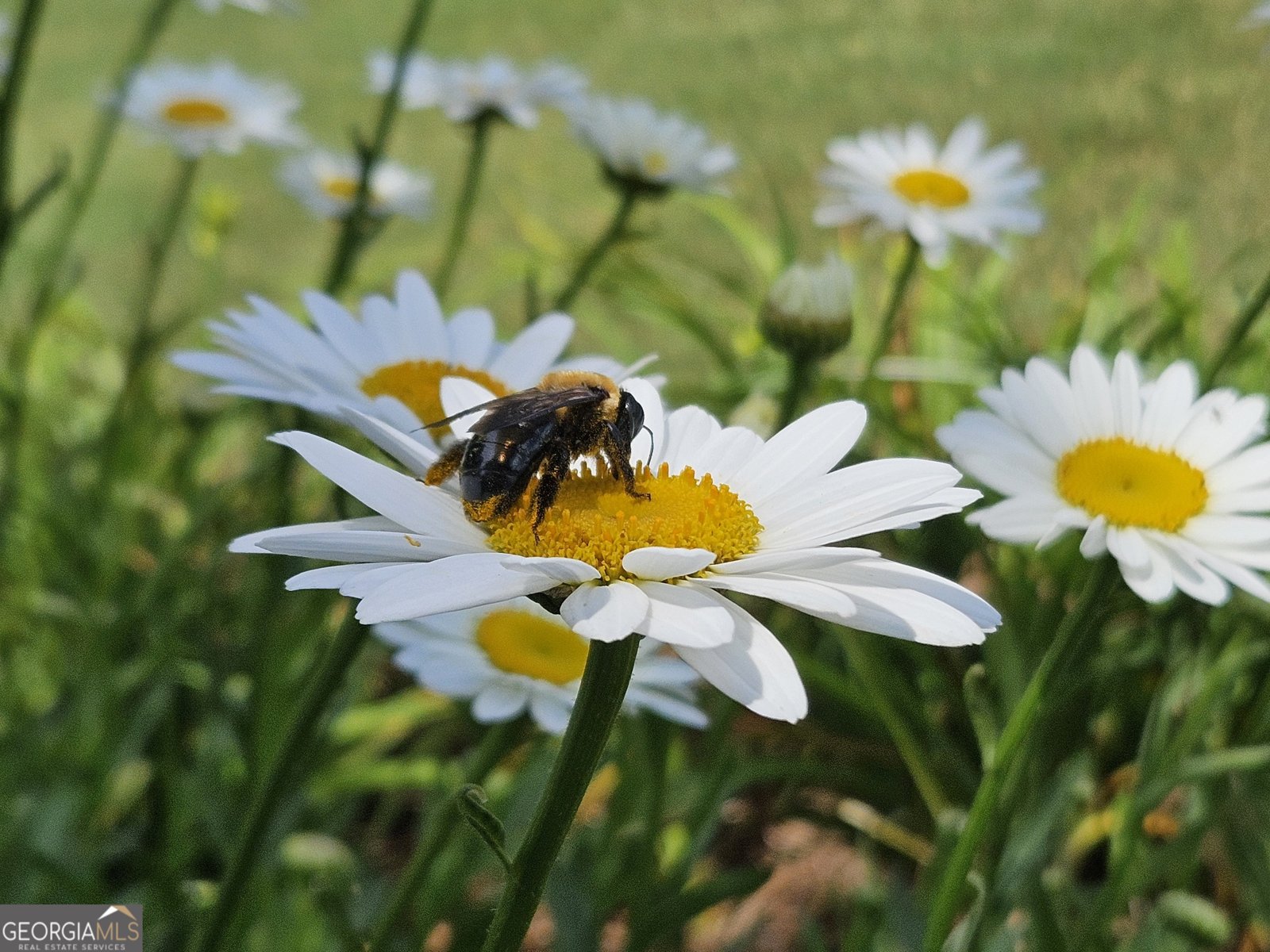 1524 Holly Lake Circle Snellville - Photo 71