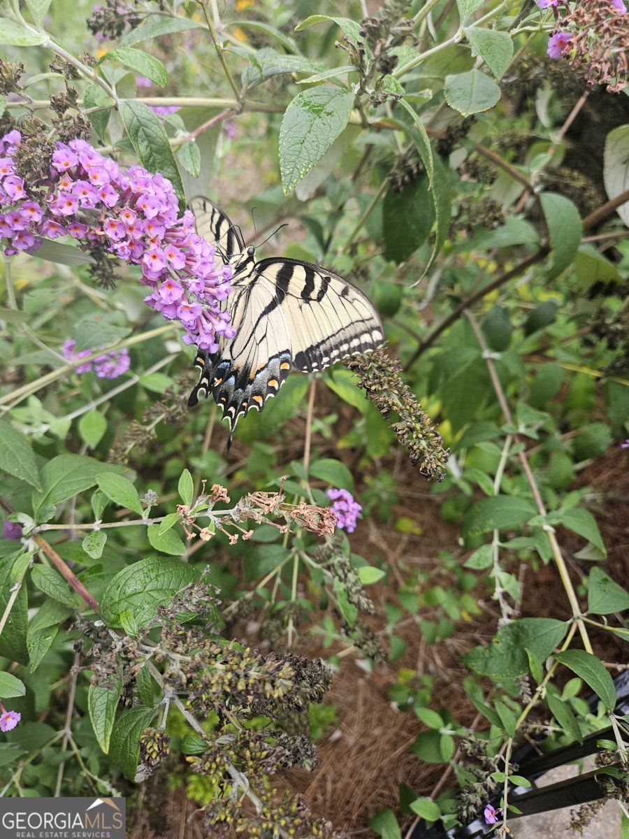 1524 Holly Lake Circle Snellville - Photo 78