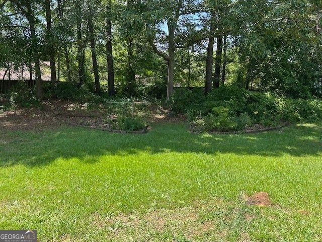 433 Rhett Drive Loganville - Photo 20