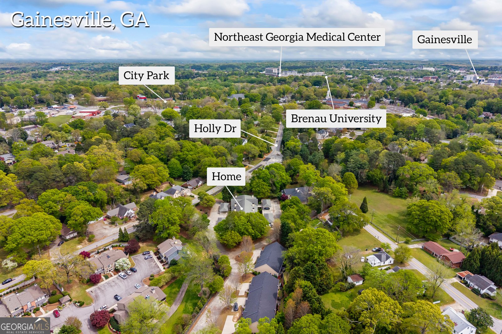 1001 Holly Drive Gainesville - Photo 50