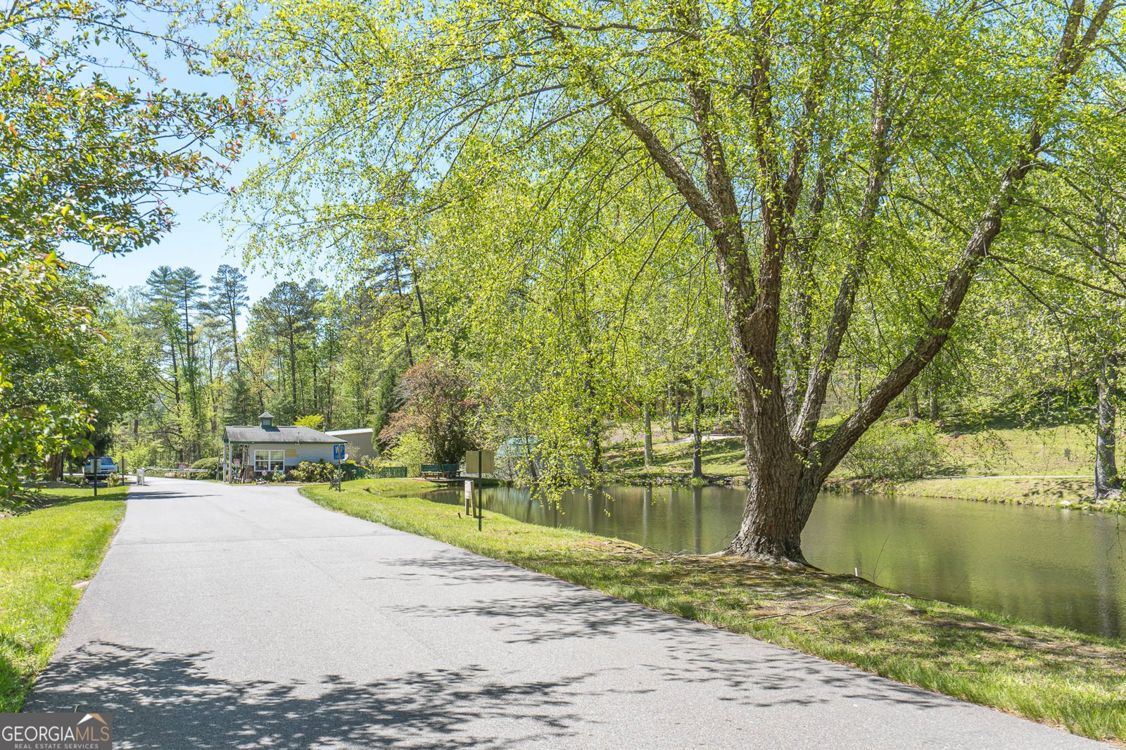 15 Lonesome Pine Murphy - Photo 52