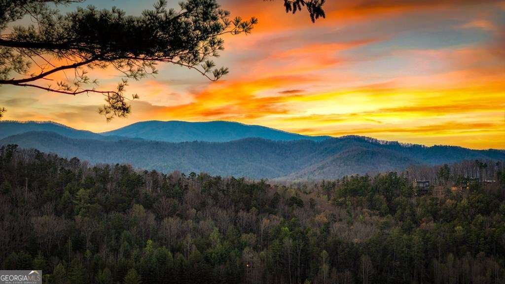 267 Oasis Drive Blue Ridge - Photo 6