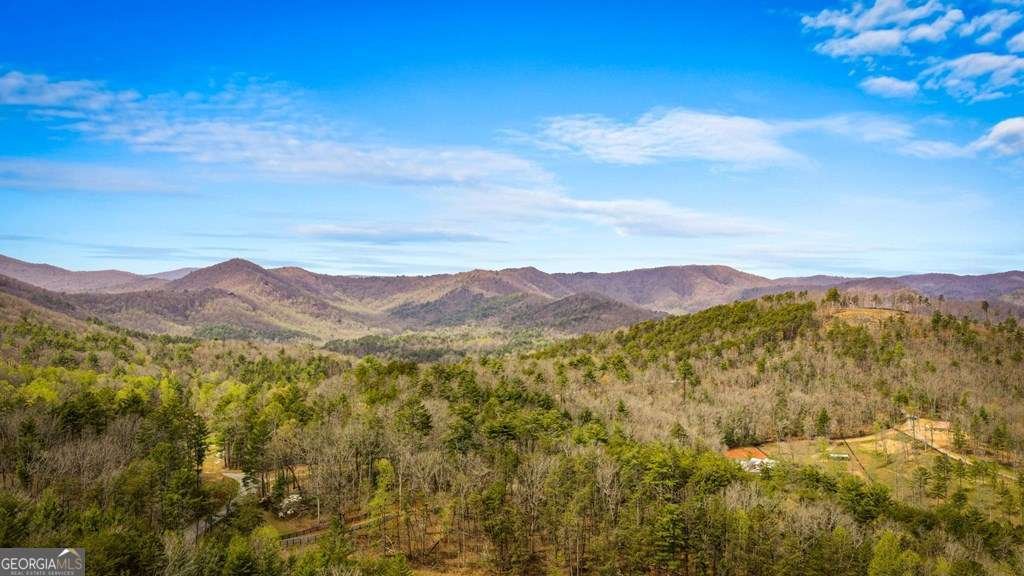 267 Oasis Drive Blue Ridge - Photo 63