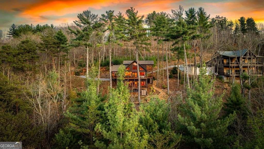 267 Oasis Drive Blue Ridge - Photo 67