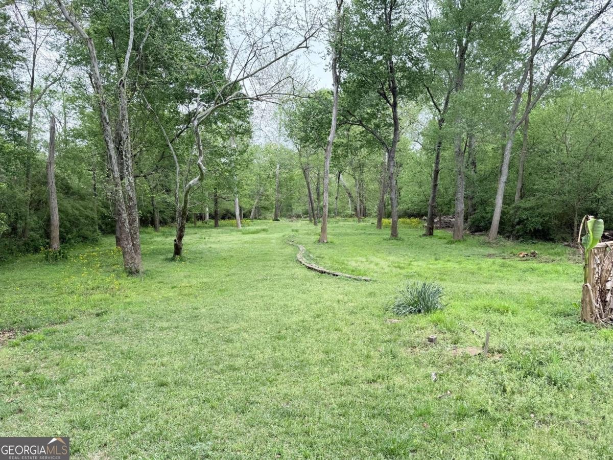 3033 Riviera Drive Conyers - Photo 65