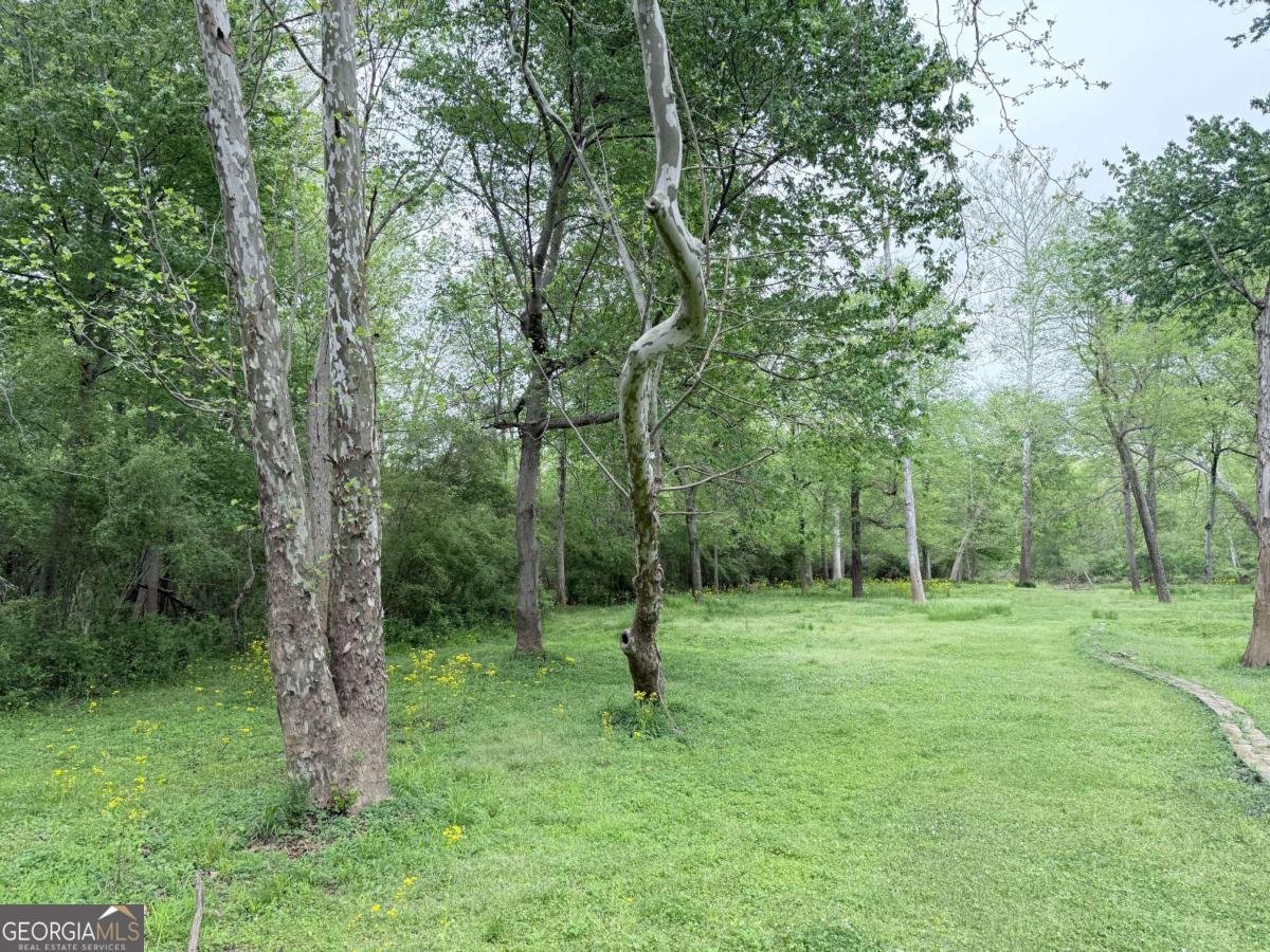 3033 Riviera Drive Conyers - Photo 66