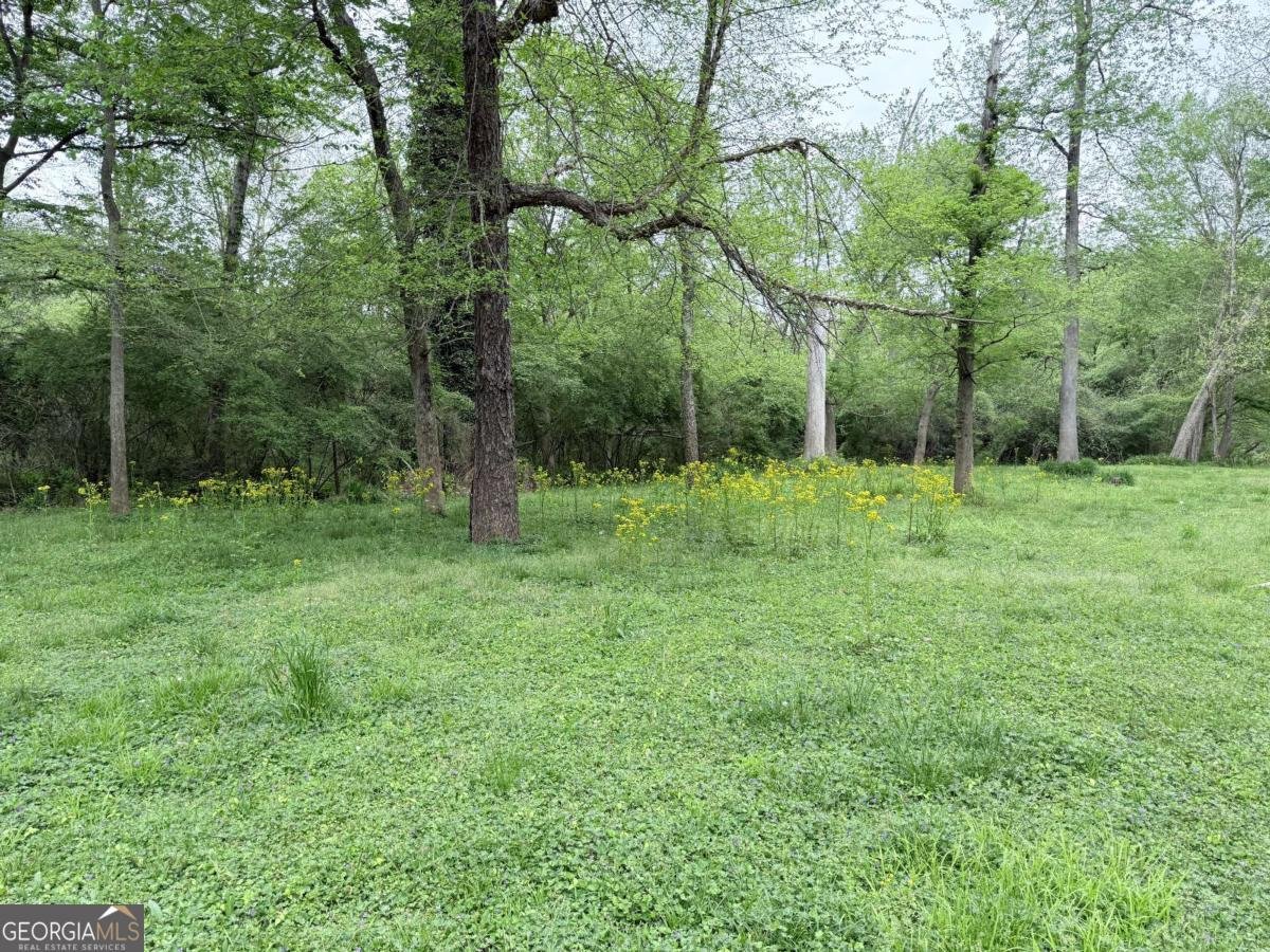 3033 Riviera Drive Conyers - Photo 67