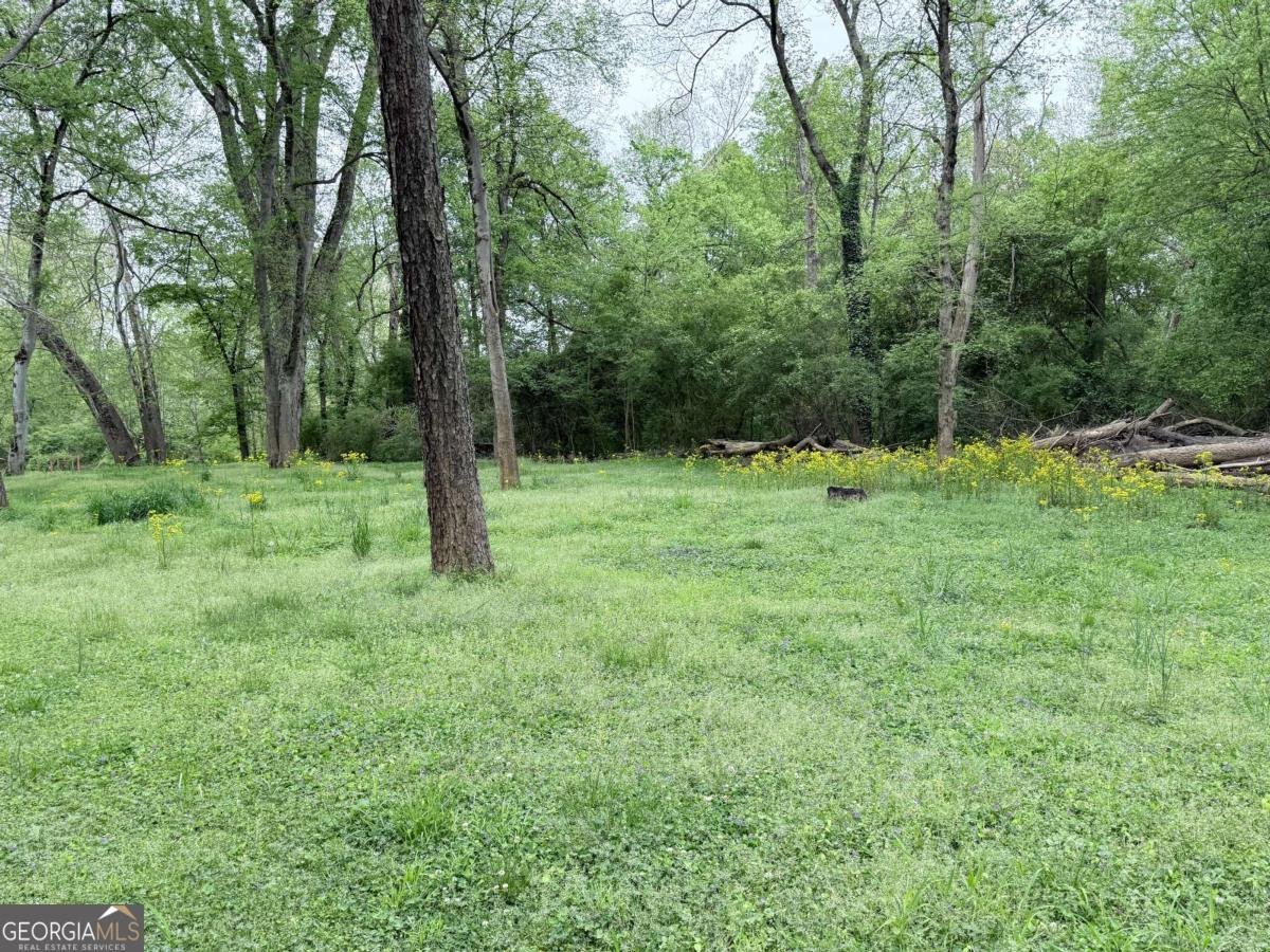 3033 Riviera Drive Conyers - Photo 68