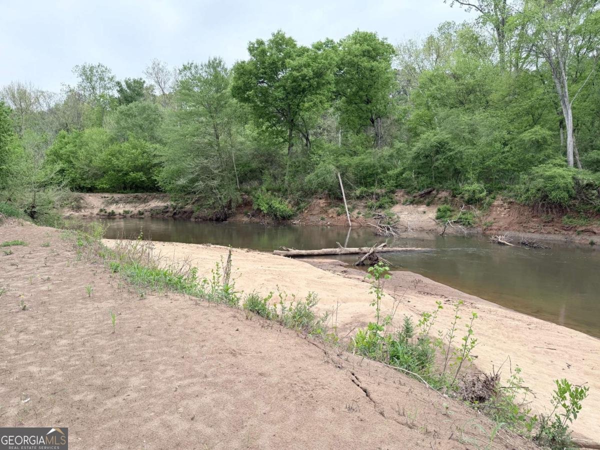 3033 Riviera Drive Conyers - Photo 70