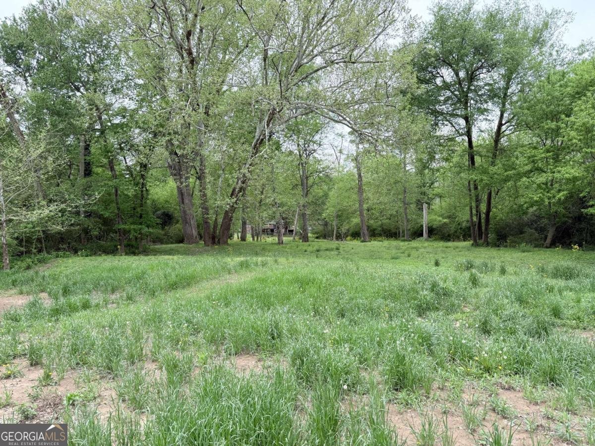 3033 Riviera Drive Conyers - Photo 74