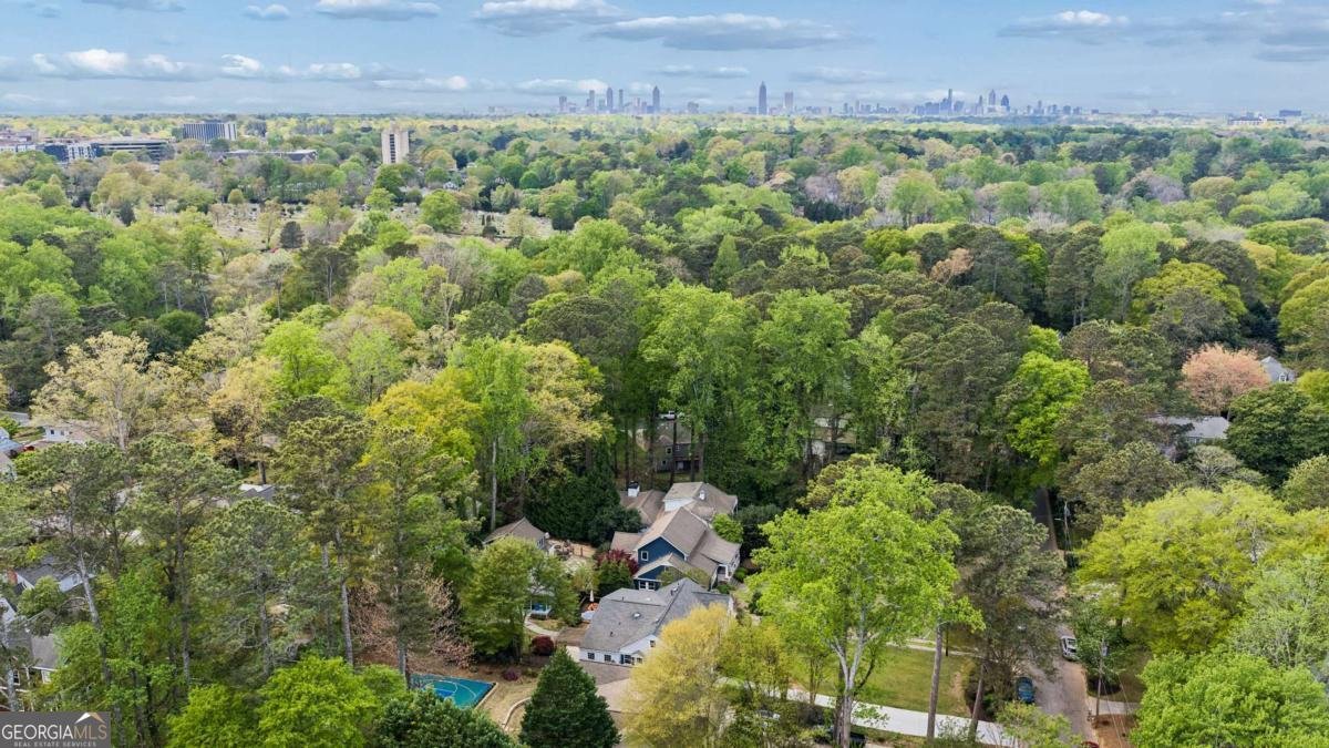 260 Mount Vernon Drive Decatur - Photo 47