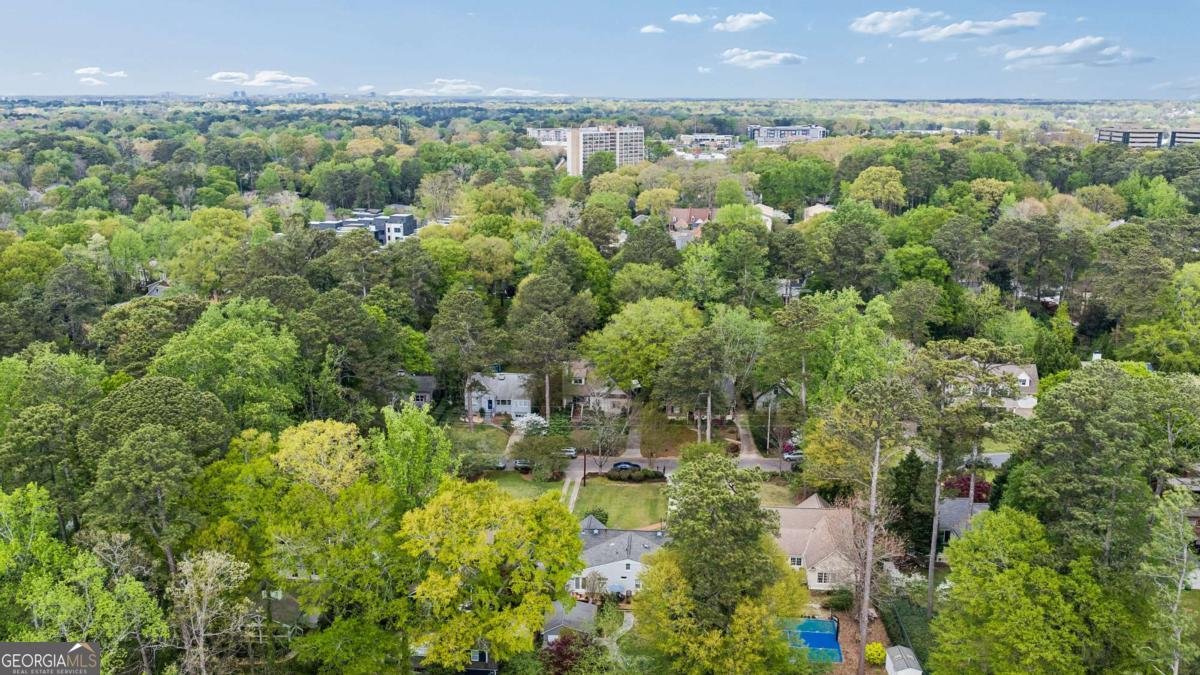 260 Mount Vernon Drive Decatur - Photo 48