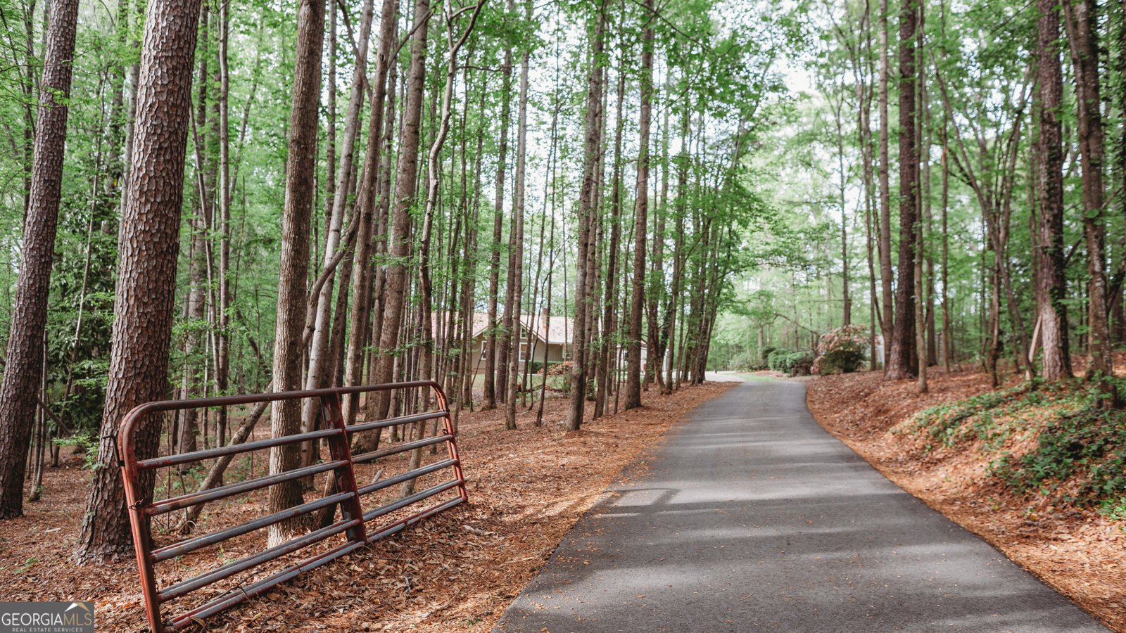 1615 High Falls Road Griffin - Photo 26