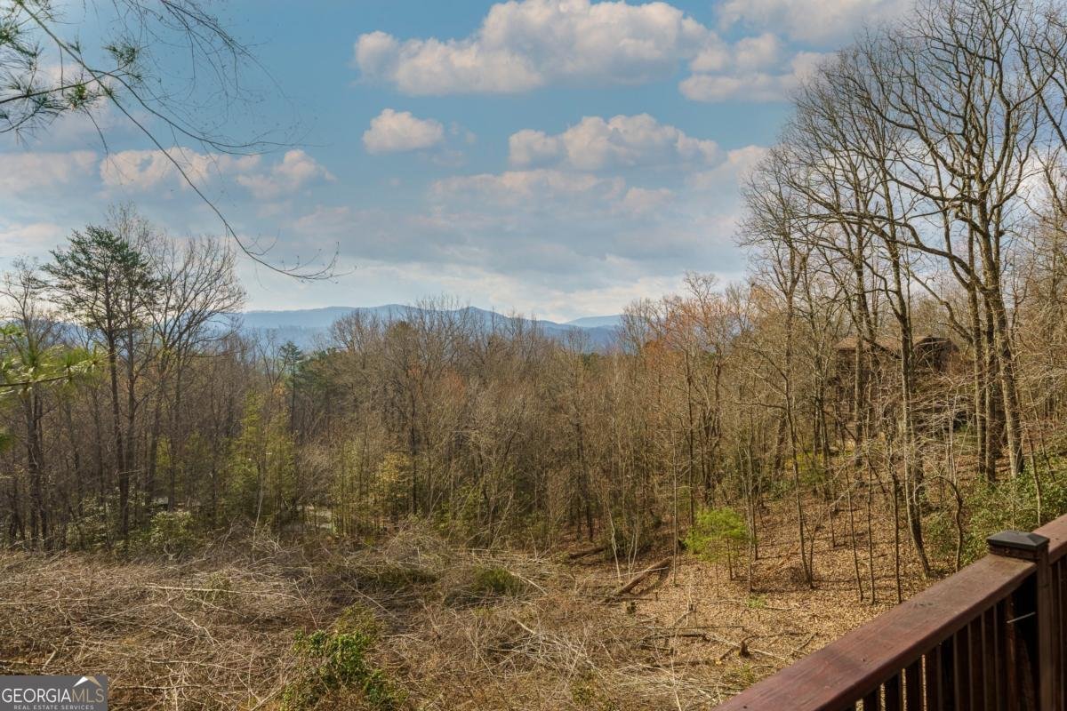 97 Fox Mountain Crossing Road Blue Ridge - Photo 14