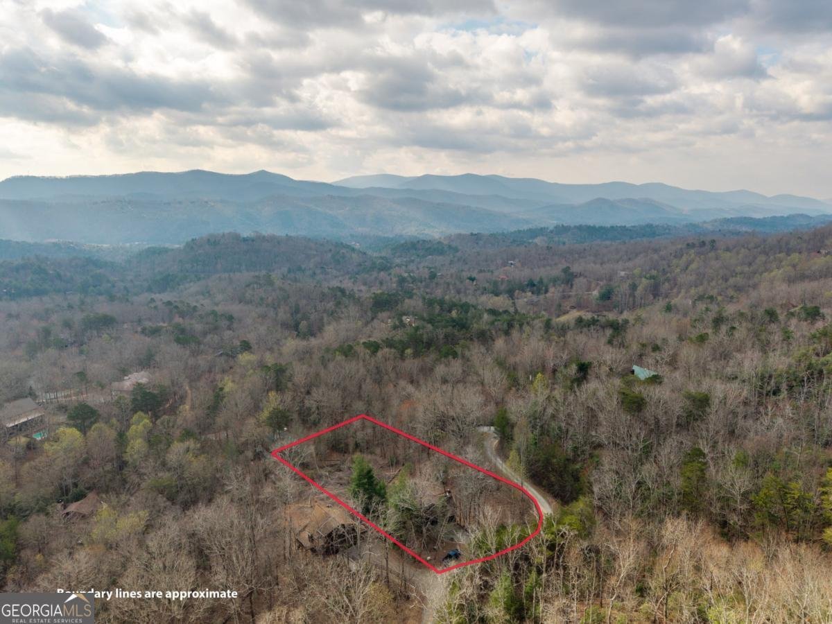 97 Fox Mountain Crossing Road Blue Ridge - Photo 22
