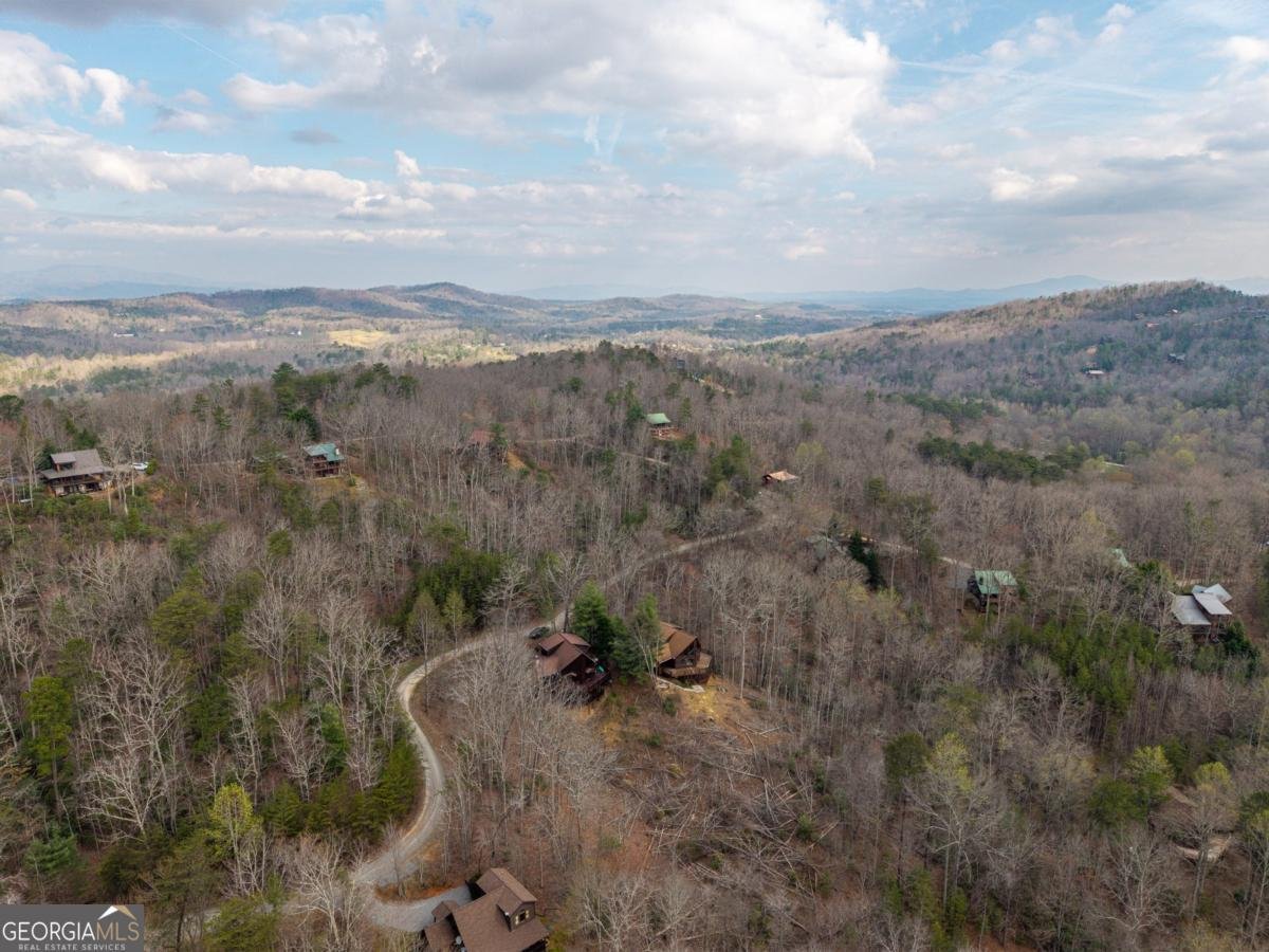 97 Fox Mountain Crossing Road Blue Ridge - Photo 23