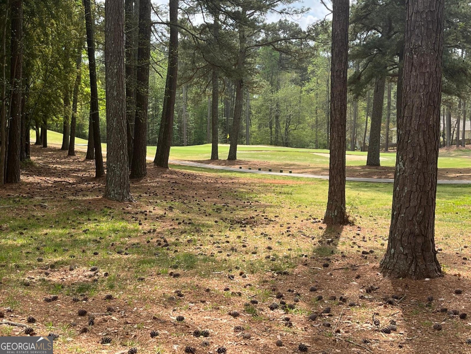 7059 Brigade Court Villa Rica - Photo 45