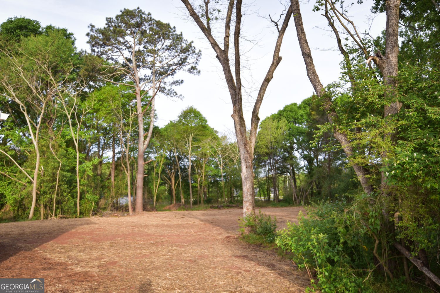 1070 Moreland Drive Watkinsville - Photo 15