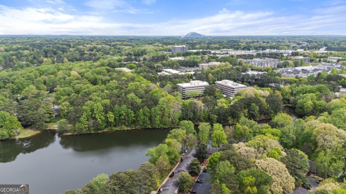 2387 Northlake Court Atlanta - Photo 26