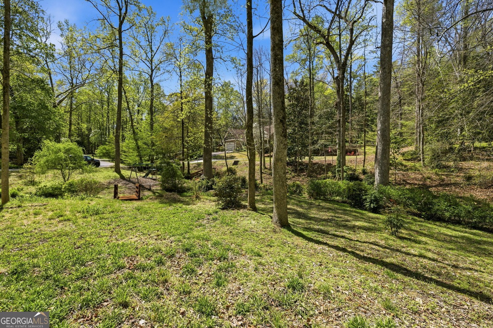 207 Springwood Drive Clarkesville - Photo 52