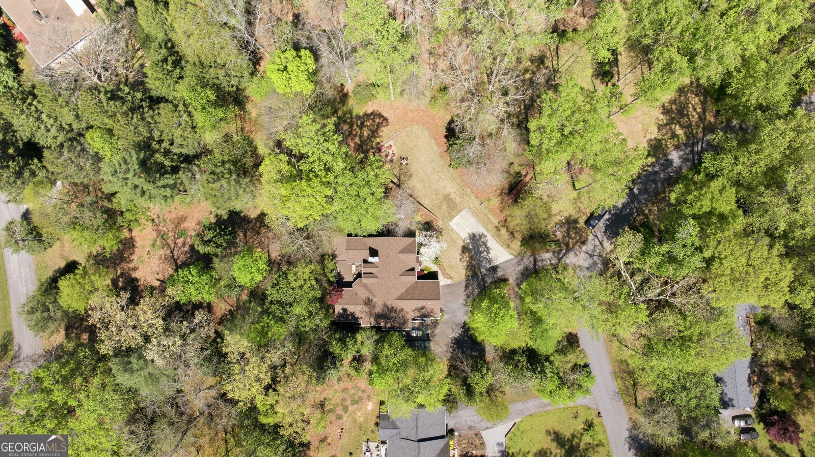 207 Springwood Drive Clarkesville - Photo 57