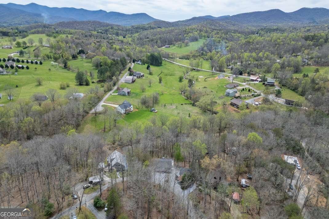 1682 Settlement Road Young Harris - Photo 69