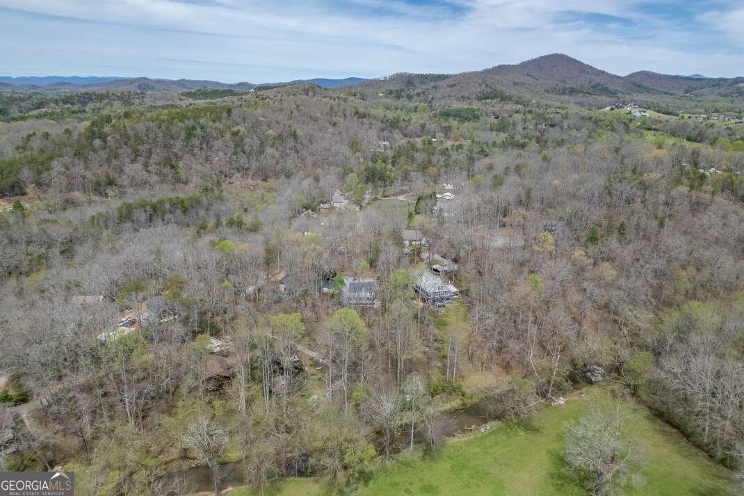 1682 Settlement Road Young Harris - Photo 71