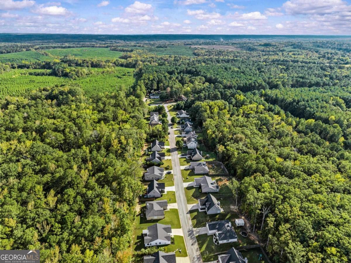 119 Misty Grove Lane Eatonton - Photo 42