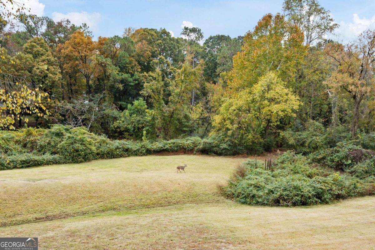 832 Cannon Run Marietta - Photo 39