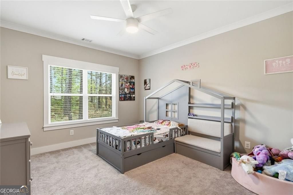 241 Bethany Manor Court Ball Ground - Photo 29