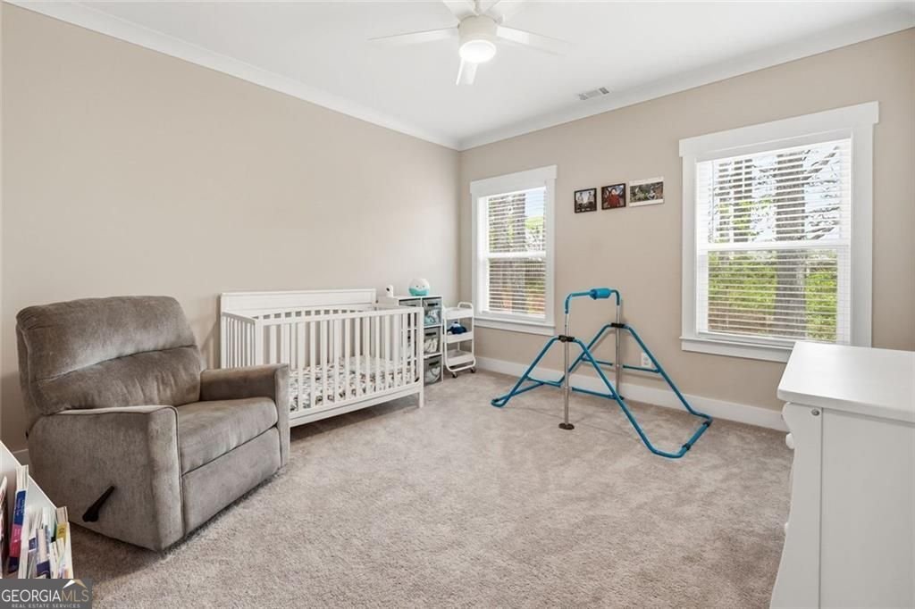 241 Bethany Manor Court Ball Ground - Photo 31