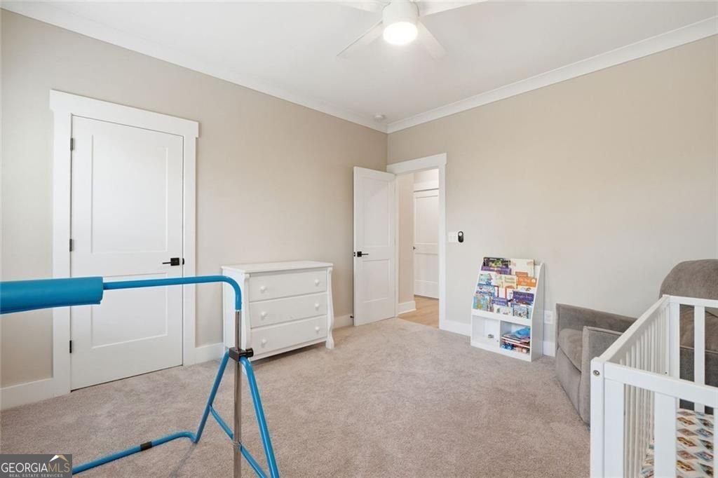 241 Bethany Manor Court Ball Ground - Photo 32