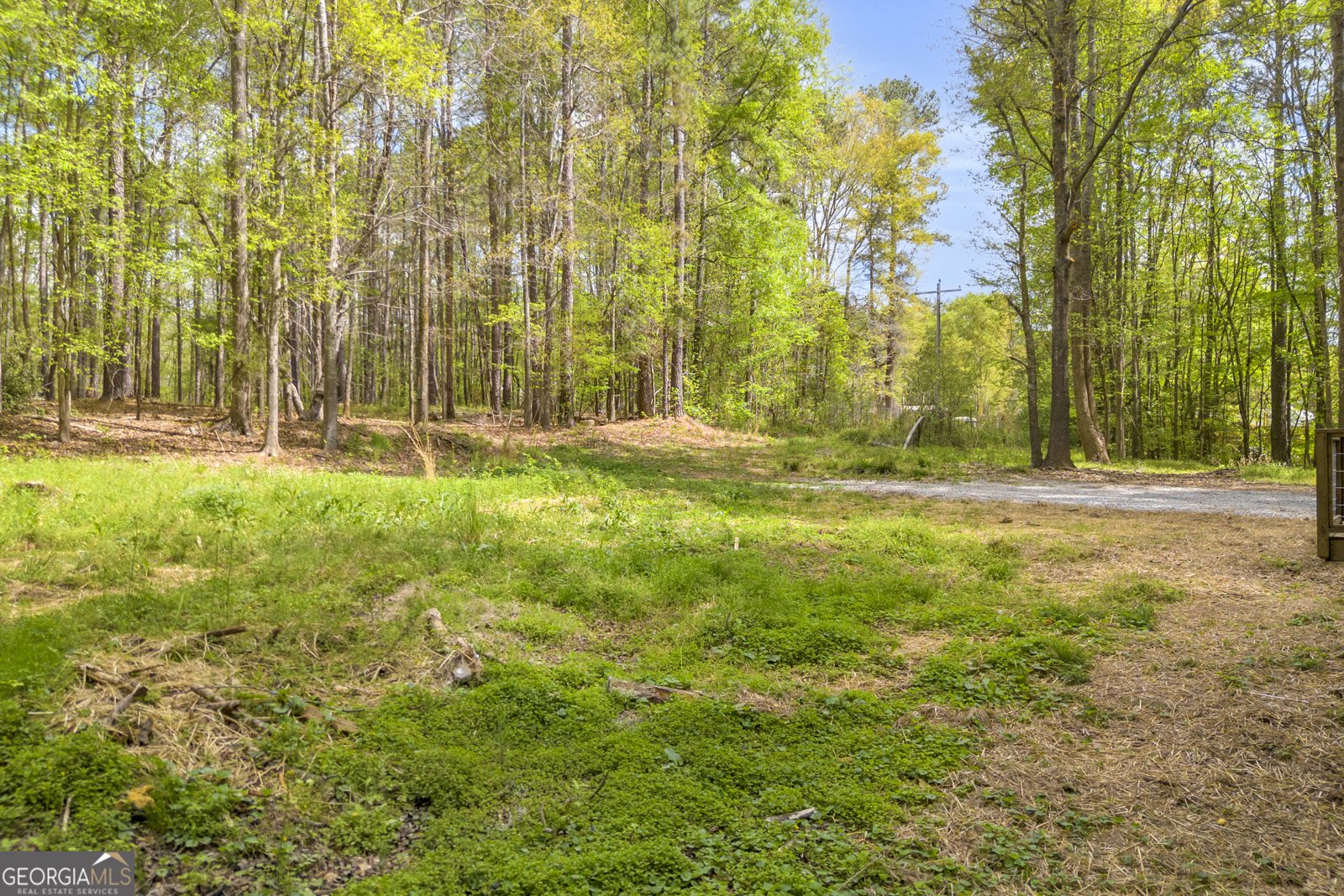 1144 Wolfskin Road Arnoldsville - Photo 41