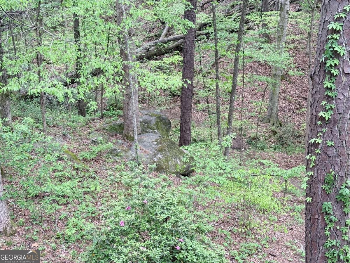 121 Killdeer Lane Monticello - Photo 40