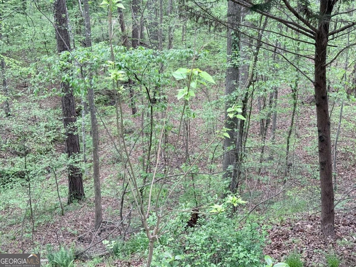 121 Killdeer Lane Monticello - Photo 42