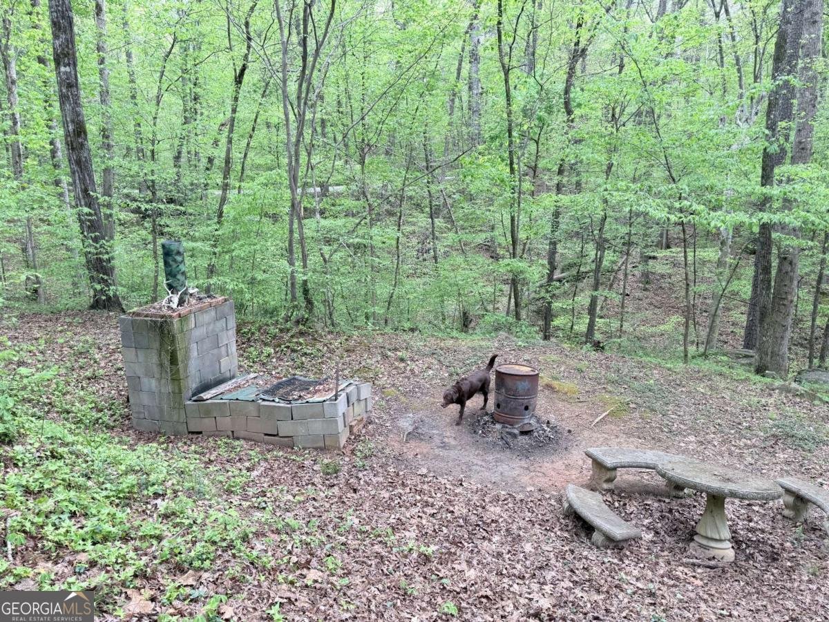 121 Killdeer Lane Monticello - Photo 43