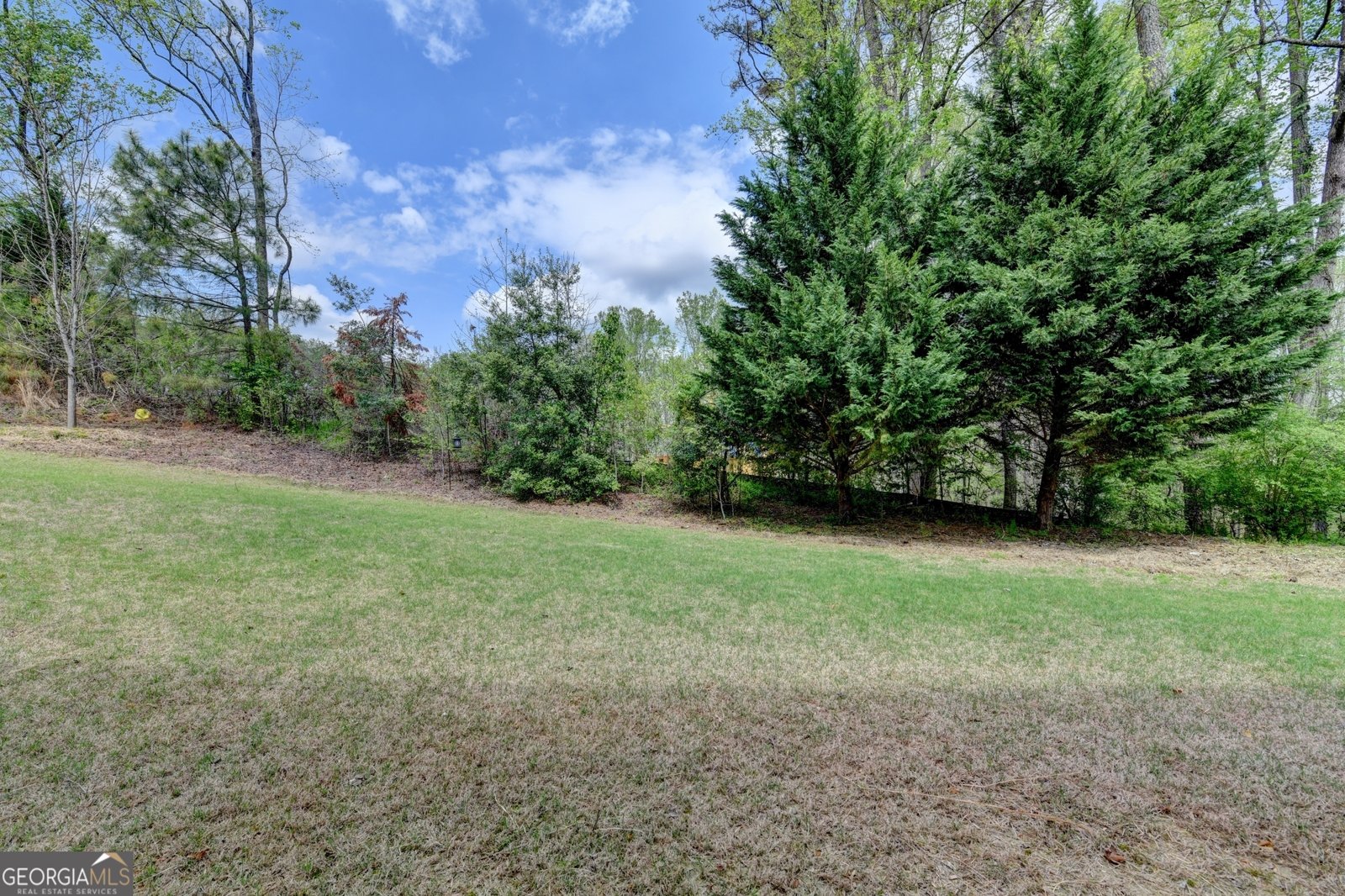 4435 Hager Court Cumming - Photo 61