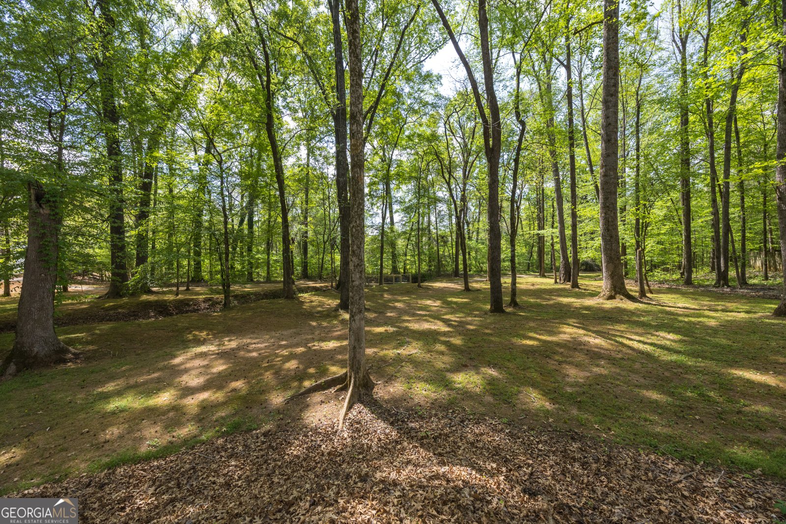 916 Huntcliffe Drive Macon - Photo 59