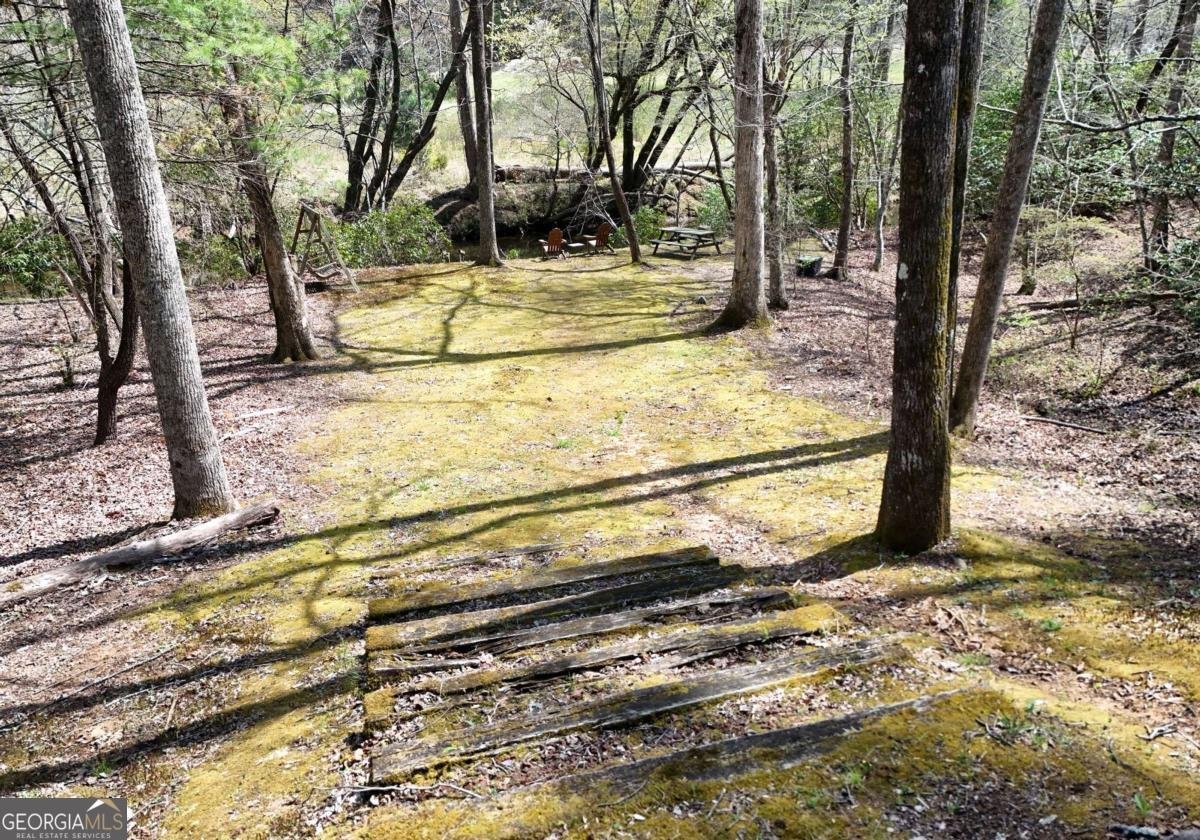 545 Laurel Circle Blue Ridge - Photo 16