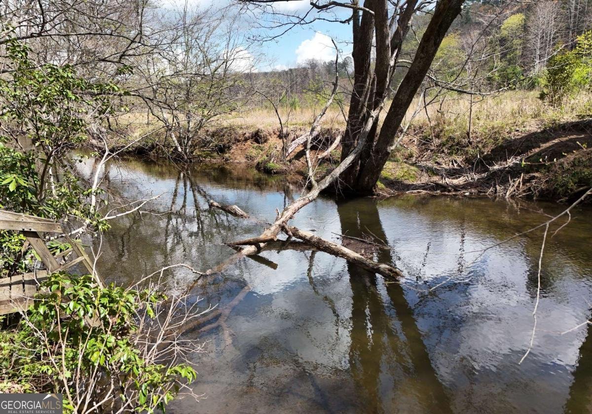 545 Laurel Circle Blue Ridge - Photo 19