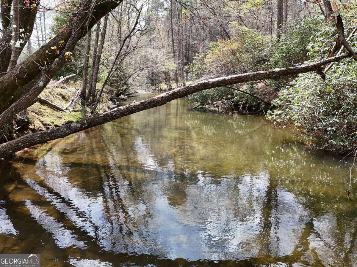 545 Laurel Circle Blue Ridge - Photo 22