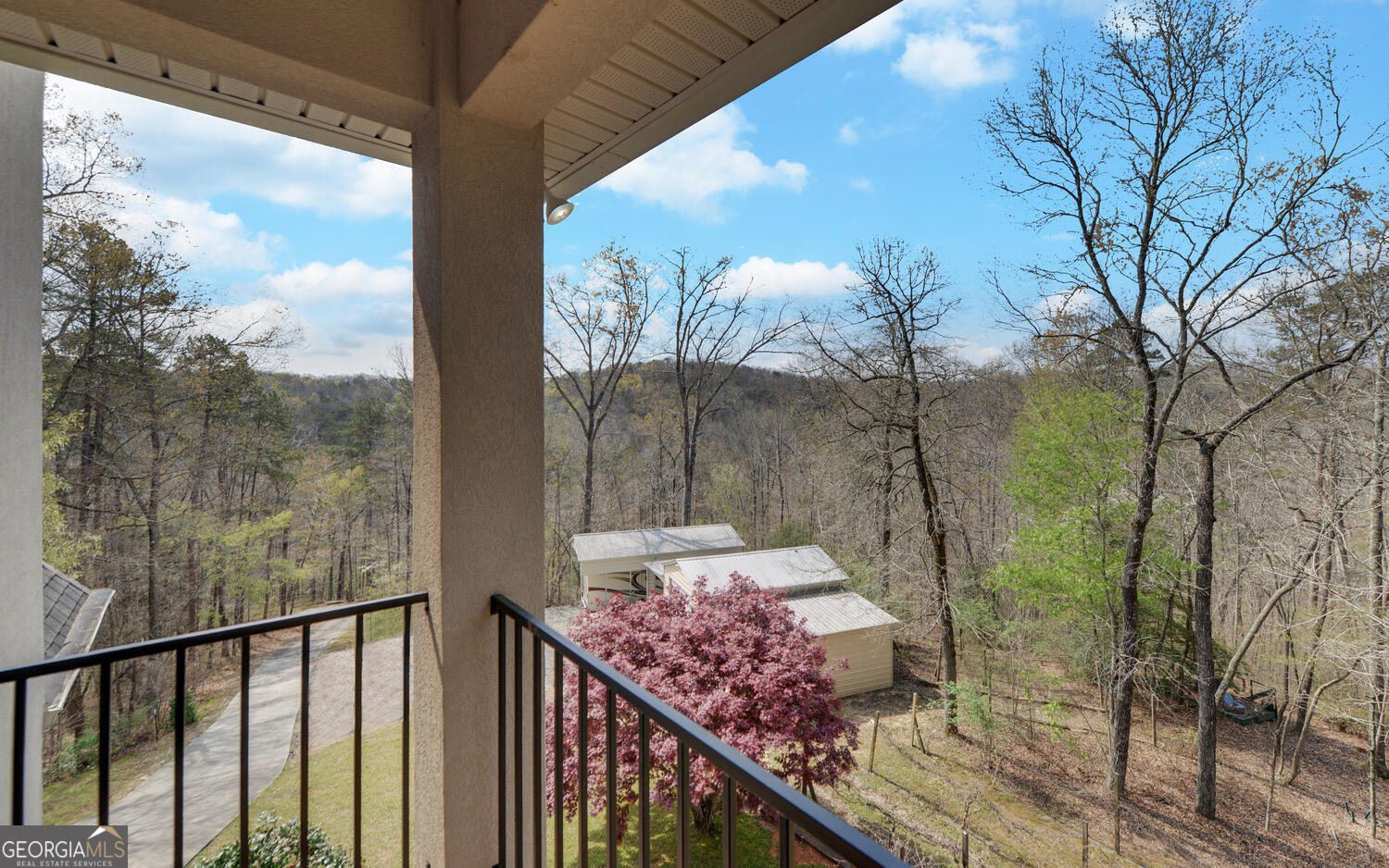 3256 Long branch Road Dahlonega - Photo 41