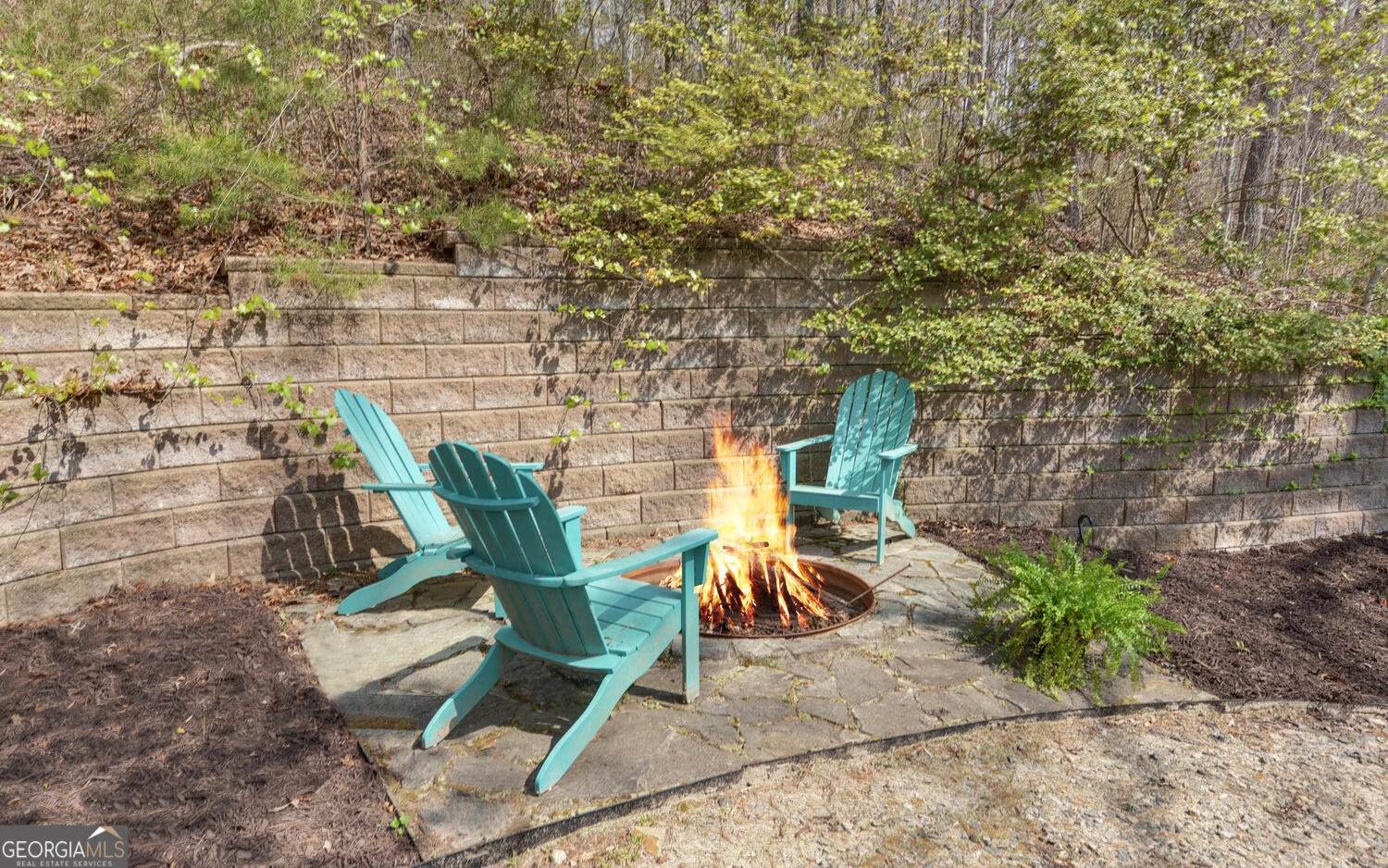 3256 Long branch Road Dahlonega - Photo 55