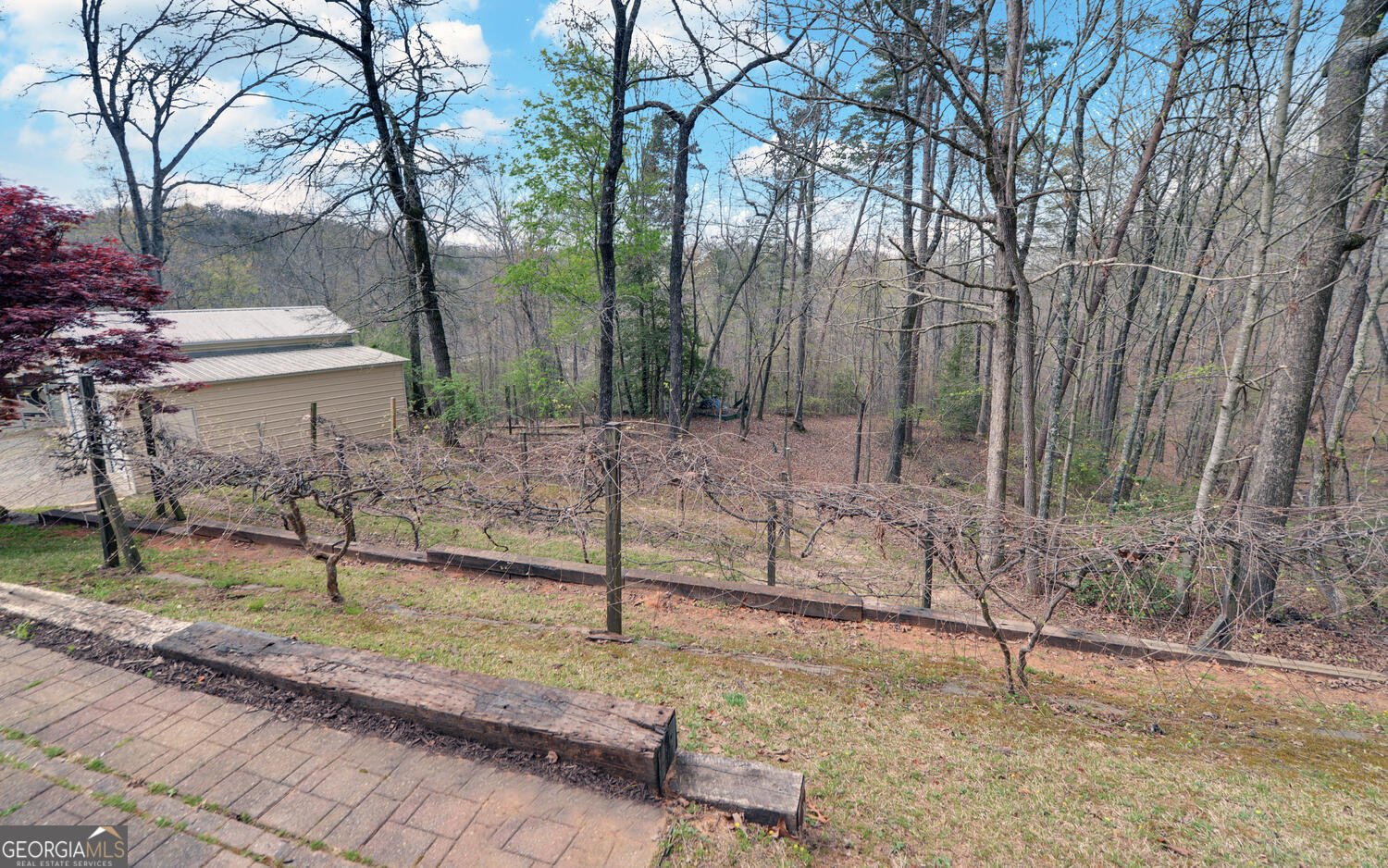 3256 Long branch Road Dahlonega - Photo 56