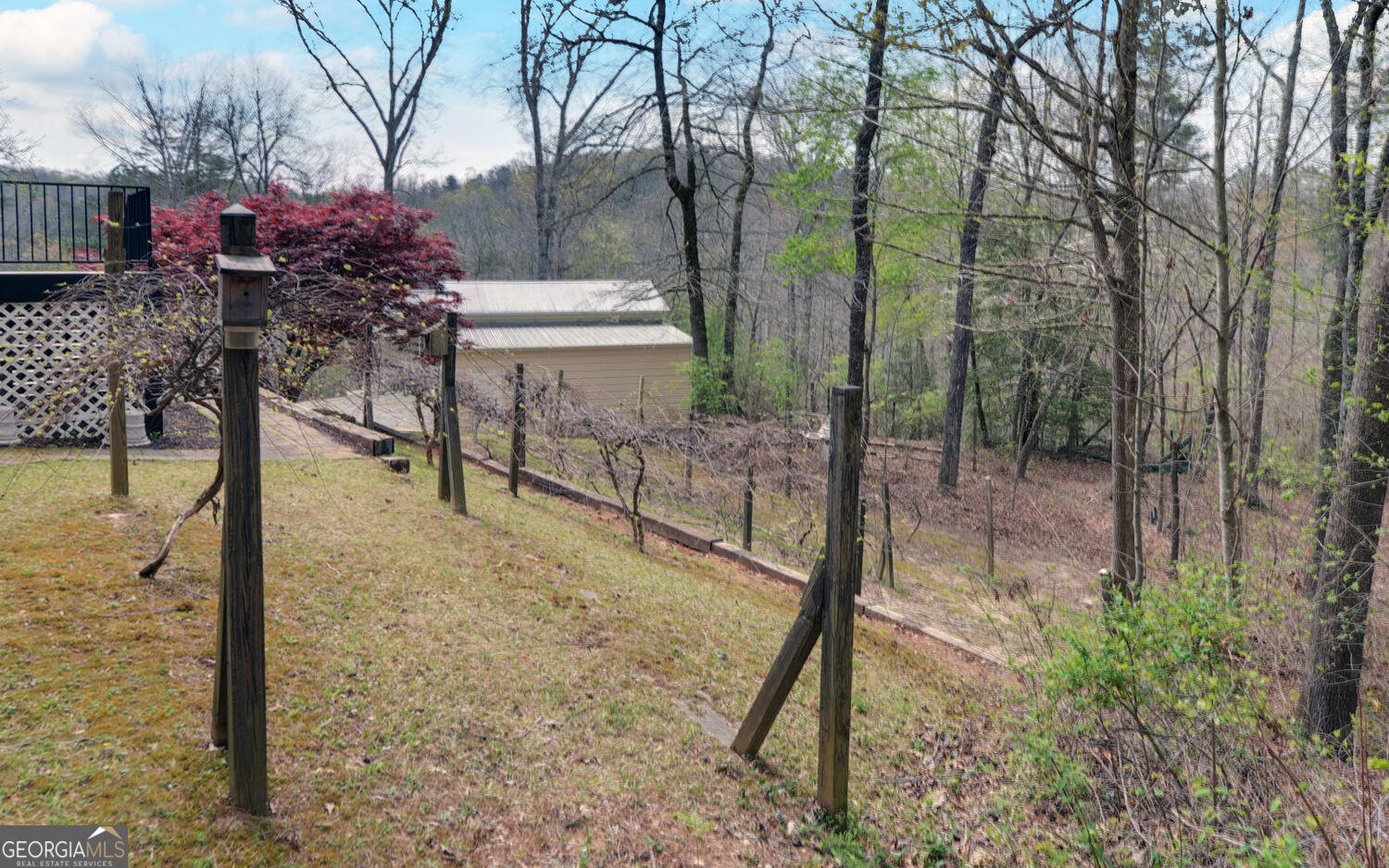 3256 Long branch Road Dahlonega - Photo 57