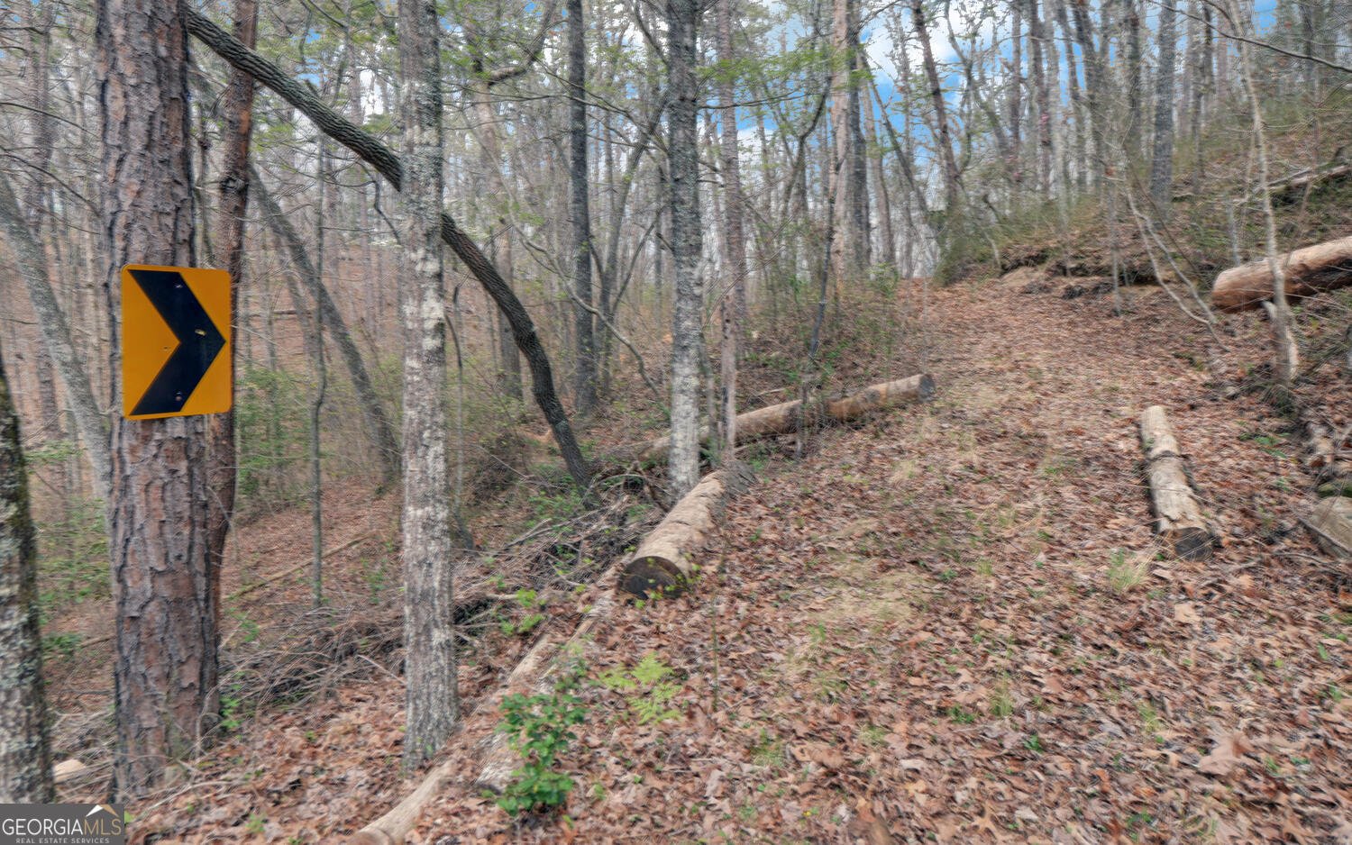 3256 Long branch Road Dahlonega - Photo 58