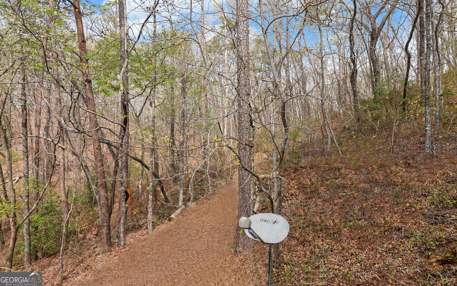 3256 Long branch Road Dahlonega - Photo 59